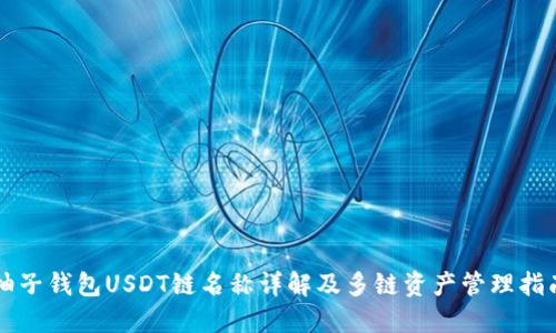 柚子钱包USDT链名称详解及多链资产管理指南