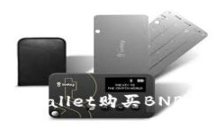 如何通过tpWallet购买BNB币：