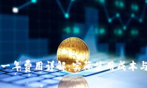 tpWallet一年费用详解：实际使用成本与注意事项