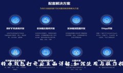 比特币钱包打开后页面详
