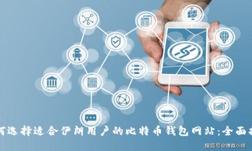 如何选择适合伊朗用户的比特币钱包网站：全面指南