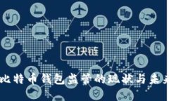 美国比特币钱包监管的现
