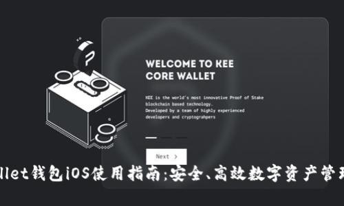 : TPWallet钱包iOS使用指南：安全、高效数字资产管理全解析