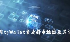 如何使用tpWallet查看持币地