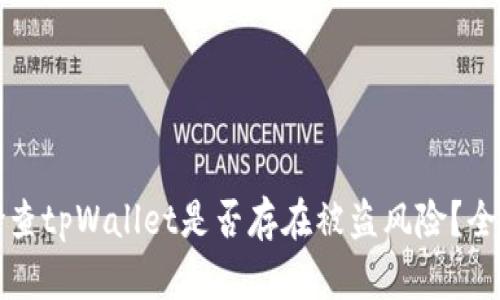 如何检查tpWallet是否存在被盗风险？全面指南