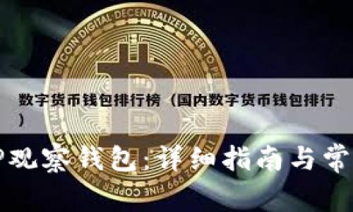 如何创建TP观察钱包：详细指南与常见问题解答
