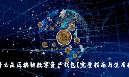 : 什么是区块链数字资产钱包？完整指南与使用技巧