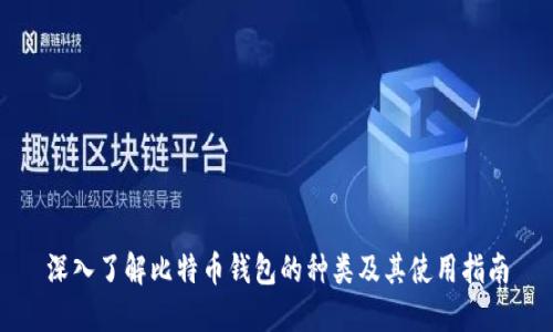 深入了解比特币钱包的种类及其使用指南