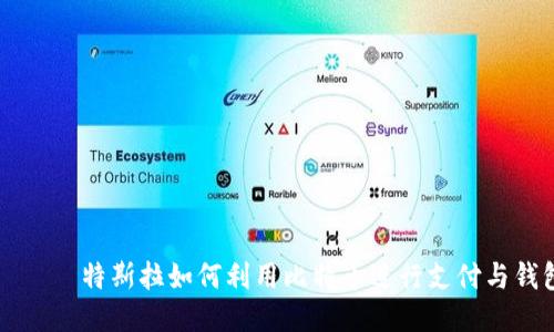  بهذا 特斯拉如何利用比特币进行支付与钱包管理