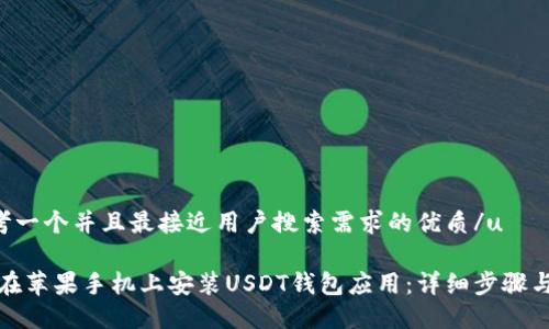 u思考一个并且最接近用户搜索需求的优质/u

如何在苹果手机上安装USDT钱包应用：详细步骤与技巧