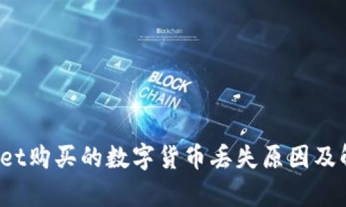  tpWallet购买的数字货币丢失原因及解决方案