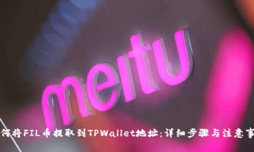 如何将FIL币提取到TPWallet地址：详细步骤与注意事项