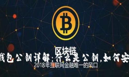 区块链钱包公钥详解：什么是公钥，如何安全使用?
