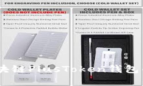 深入解析：区块链PlusToken钱包的功能与风险