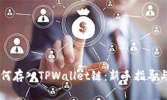 Doge币如何存入TPWallet链：新手指导与实用技巧