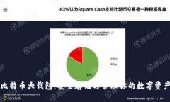 比特币大钱包：安全存储与管理你的数字资产