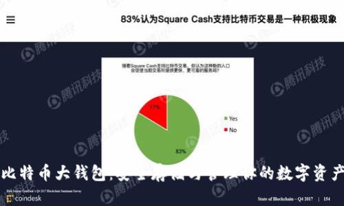 比特币大钱包：安全存储与管理你的数字资产