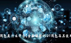 USDT钱包是什么平台？全面解析USDT钱包及其使用价