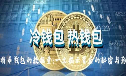 比特币钱包的数据量：一文揭示背后的秘密与影响