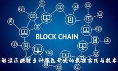 全面解读区块链多种钱包开发的最佳实践与技术