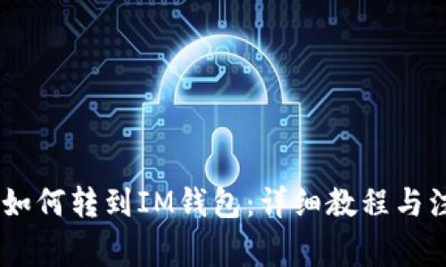 USDT币如何转到IM钱包：详细教程与注意事项