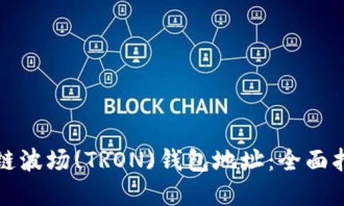 如何查询区块链波场(TRON)钱包地址：全面指南及实用技巧
