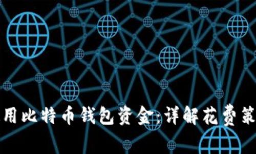 如何高效地使用比特币钱包资金：详解花费策略与注意事项