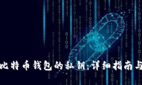 如何查看比特币钱包的私钥：详细指南与安全建议