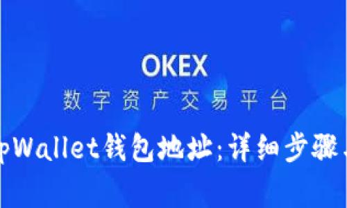 如何查看tpWallet钱包地址：详细步骤与注意事项