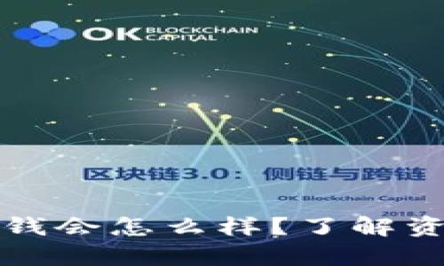 tpWallet资金池没钱会怎么样？了解资金情况及应对策略