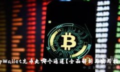 tpWallet充币走哪个通道？全面解析与实用指南