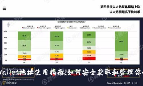 老版本tpWallet地址使用指南：如何安全获取和管理你的数字资产