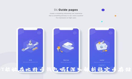 USDT能放在比特币钱包吗？深入解析稳定币存储方式