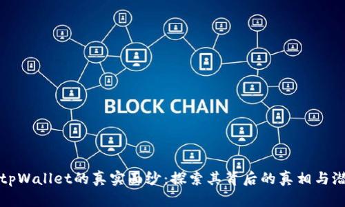 : tpWallet的真实面纱：探索其背后的真相与潜力