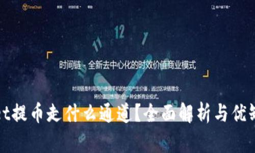 tpWallet提币走什么通道？全面解析与优缺点对比