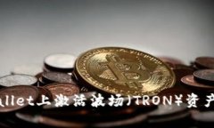 如何在tpWallet上激活波场（TRON）资产并快速入门