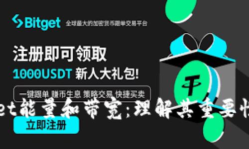 tpWallet能量和带宽：理解其重要性与应用
