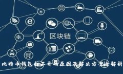 比特币钱包打不开的原因及解决方案全解析