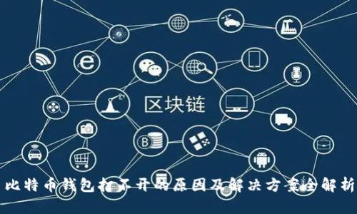 比特币钱包打不开的原因及解决方案全解析