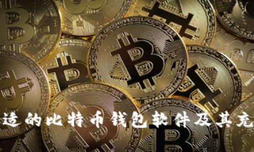 如何选择合适的比特币钱包软件及其充值方式指南