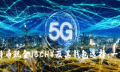 了解比特币现金（BCH）及其钱包选择：一站式指