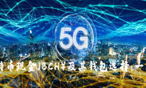 了解比特币现金（BCH）及其钱包选择：一站式指南