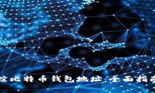 如何有效追踪比特币钱包地址：全面指南与实用技巧