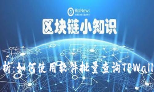 全面解析：如何使用软件批量查询TPWallet余额