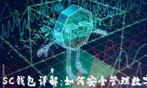 
虚拟币SC钱包详解：如何安全管理数字资产?