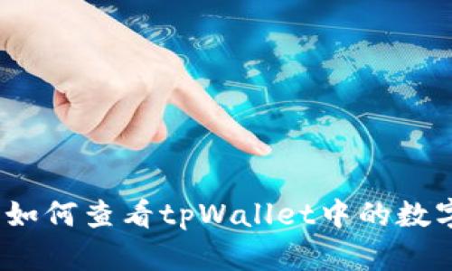 全面指南：如何查看tpWallet中的数字货币资产