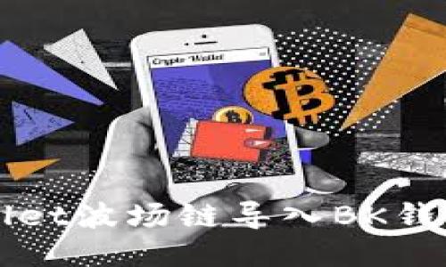 如何将TPWallet波场链导入BK钱包的详细教程