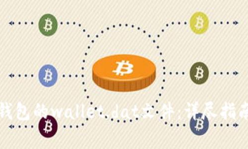 如何解密比特币钱包的wallet.dat文件：详尽指南与常见疑问解答