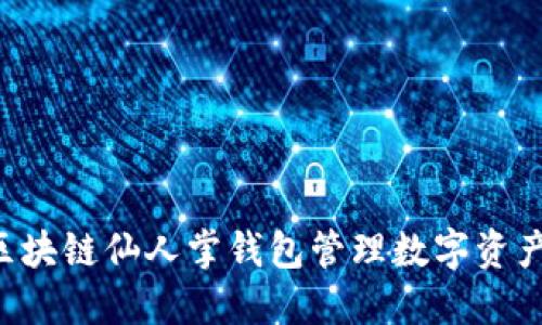 如何使用区块链仙人掌钱包管理数字资产：全面指南