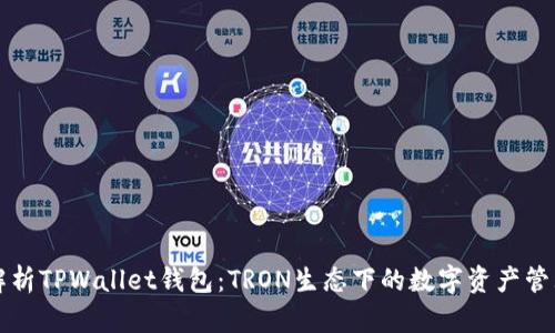 全面解析TPWallet钱包：TRON生态下的数字资产管理利器